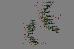173D - Balls and Sticks
